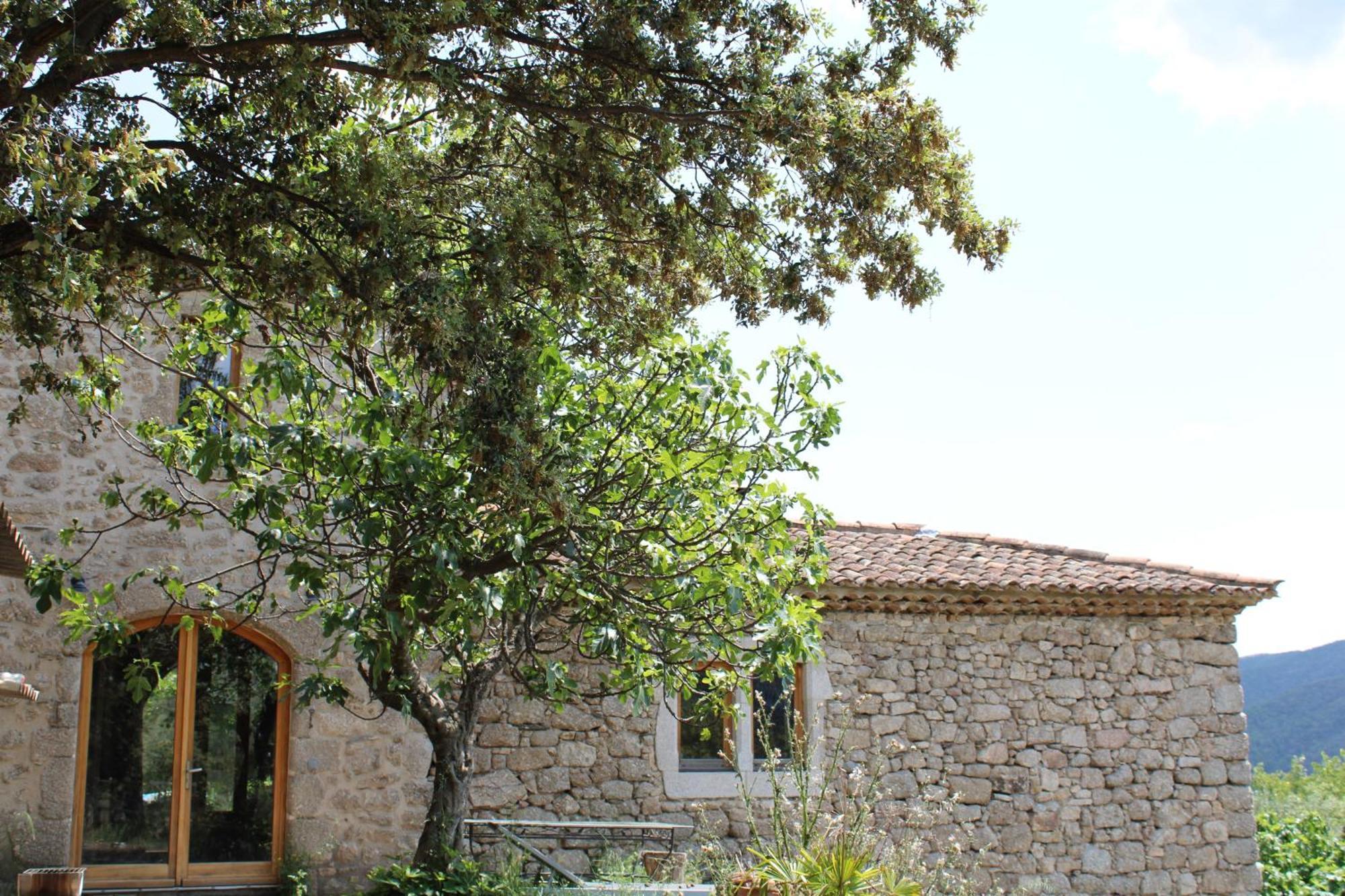 Le Puech, Chambre D'Hotes En Cevennes Saint-André-de-Majencoules Exterior foto